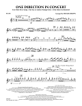 One Direction In Concert - Flute