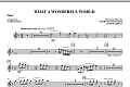 What A Wonderful World - Flute