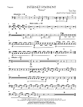 Internet Symphony "Eroica" - Timpani