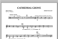 Cathedral Grove - Percussion 3