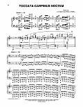 Toccata-Carpimus Noctem