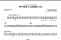 Sweet Caroline - Percussion 2