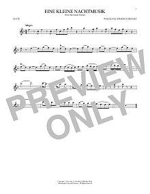 Eine Kleine Nachtmusik ("Serenade"), First Movement Excerpt 