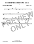 The Stillness of Remembering - Suspended Cymbal/Bass Drum