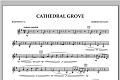 Cathedral Grove - Baritone T.C.