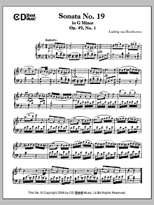 Sonata No. 19 In G Minor, Op. 49, No. 1 