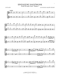 Eine Kleine Nachtmusik