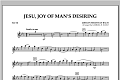 Jesu, Joy Of Man's Desiring - Flute