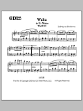 Waltz In E-flat Major, Woo 84