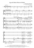 Agua de Beber (Water to Drink) (arr. Sam Burns)