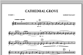 Cathedral Grove - F Horn 1