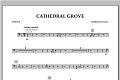 Cathedral Grove - Timpani