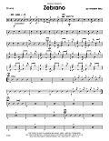Zebrano - Drum Set