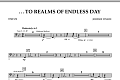 ...To Realms Of Endless Day - Timpani