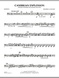 Cambrian Explosion - Bassoon 2