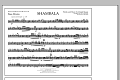 Shambala - Bass Drums