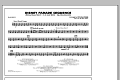 Disney Parade Sequence - Bass Drum