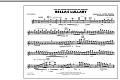 Bella's Lullaby (from "Twilight") - Flute/Piccolo