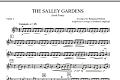 The Salley Gardens - Violin 2