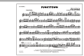 Funkytown - Flute/Piccolo