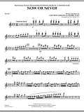 Now or Never (from High School Musical 3) - Flute