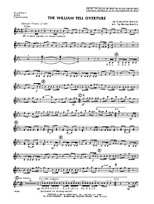 The William Tell Overture - Percussion 1 