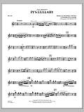Pi's Lullaby (from Life of Pi) - Flute