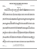 Shackelford Banks (Tale of Wild Mustangs) - Pt.5 - String/Electric Bass