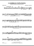 Cambrian Explosion - String Bass
