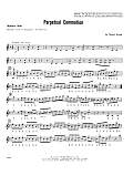Perpetual Commotion - Mallets