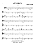 Isn't She Lovely? - Acoustic Guitar