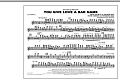 You Give Love a Bad Name - Flute/Piccolo