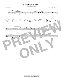 Symphony No. 1 In C Minor, Fourth Movement Excerpt 