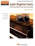 Magnetic Rag
