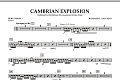 Cambrian Explosion - Percussion 3
