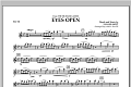 Eyes Open (from The Hunger Games) - Flute