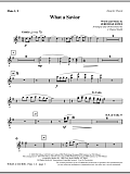 What A Savior - Flute 1 & 2