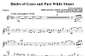 Blades Of Grass And Pure White Stones - Violin 1