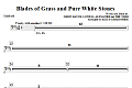 Blades Of Grass And Pure White Stones - Timpani