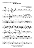 Animal Requiem - Acoustic Guitar