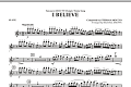 I Believe (Vancouver 2010 CTV Olympic Theme Song) - Flute