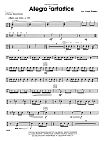 Allegro Fantastica - Percussion 3