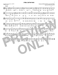 Steel Guitar Rag