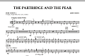 The Partridge And The Pear - Percussion 2