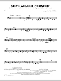 Stevie Wonder In Concert - Tuba