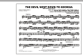 The Devil Went Down to Georgia - Mallet Percussion 2
