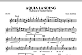 Aquia Landing (Gateway To Freedom March) - Flute