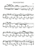 Palm Leaf Rag
