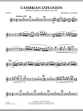 Cambrian Explosion - Flute 2