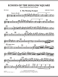 Echoes Of The Hollow Square - Piccolo